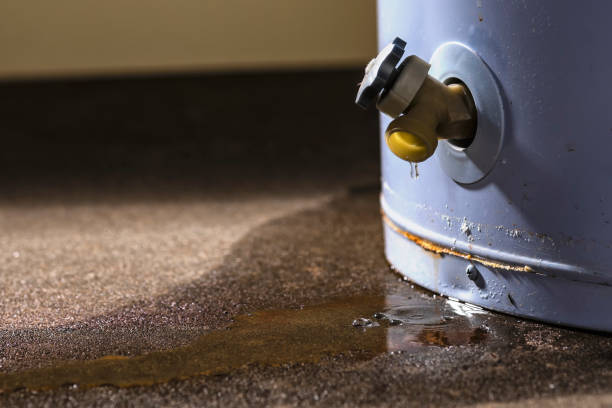 Trusted Monroe, WA Water damage restoration Experts