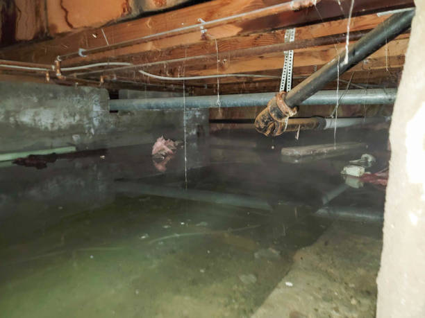 Best Commercial water damage restoration  in Monroe, WA