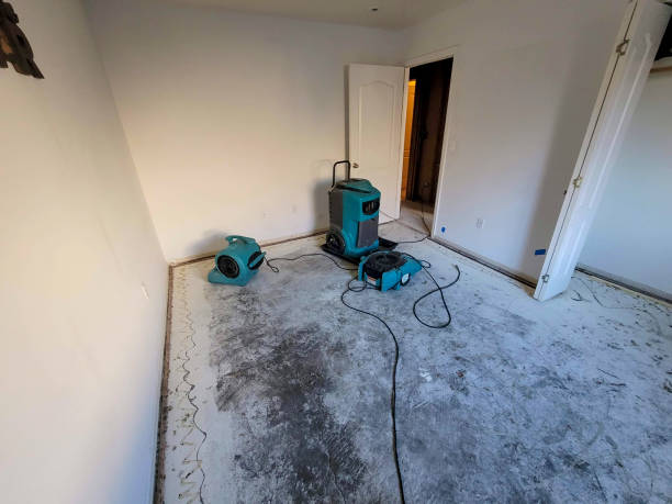 Best Sewage cleanup and water damage restoration  in Monroe, WA