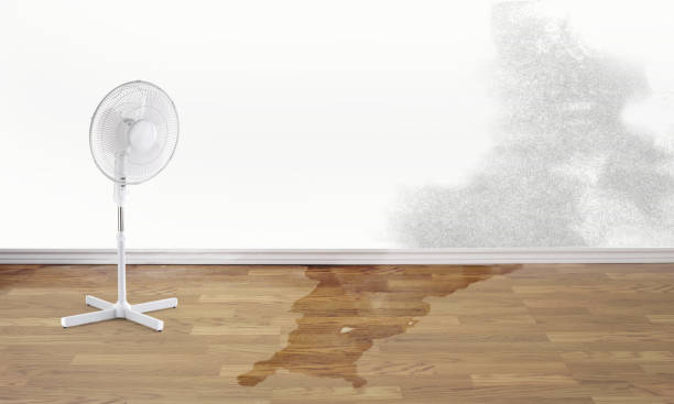 Best Emergency water damage restoration  in Monroe, WA
