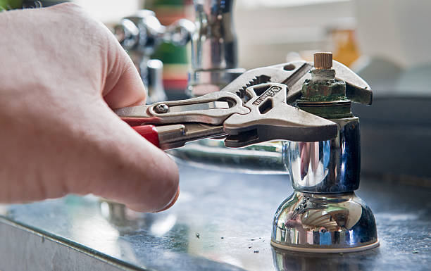 Best Water damage mitigation services  in Monroe, WA