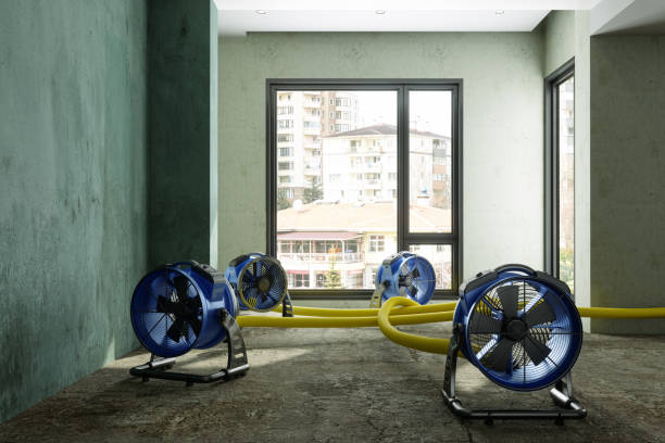 Best Water damage restoration near me  in Monroe, WA